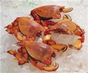 Ocean-Pacific-Seafoods---Product-1-2