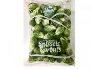 whatt-export-b-sprout