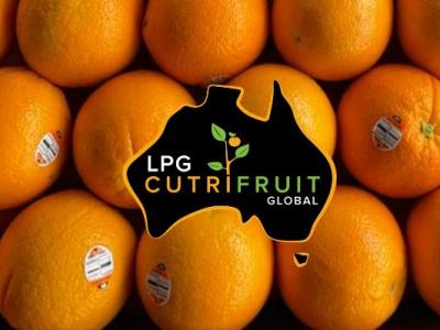 LPG Cutri Fruit Global 