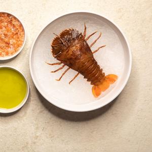 Australian Bay Lobster Producers Ltd